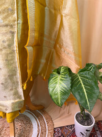 Golden Tissue Organza Suit Set with Zari Work & Matching Dupatta