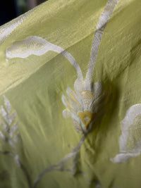 Lime Green Silk Suit with Beautiful Neck Embroidery and Organza Dupatta